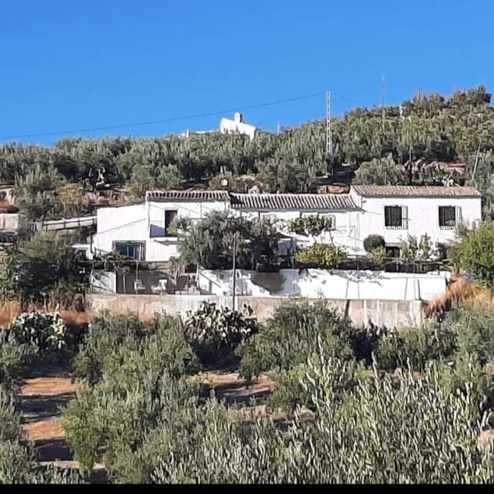 דירות אלקאודטה Cortijo El Cerro מראה חיצוני תמונה
